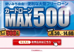 きらやか銀行フリーカードローンＭＡＸ５００